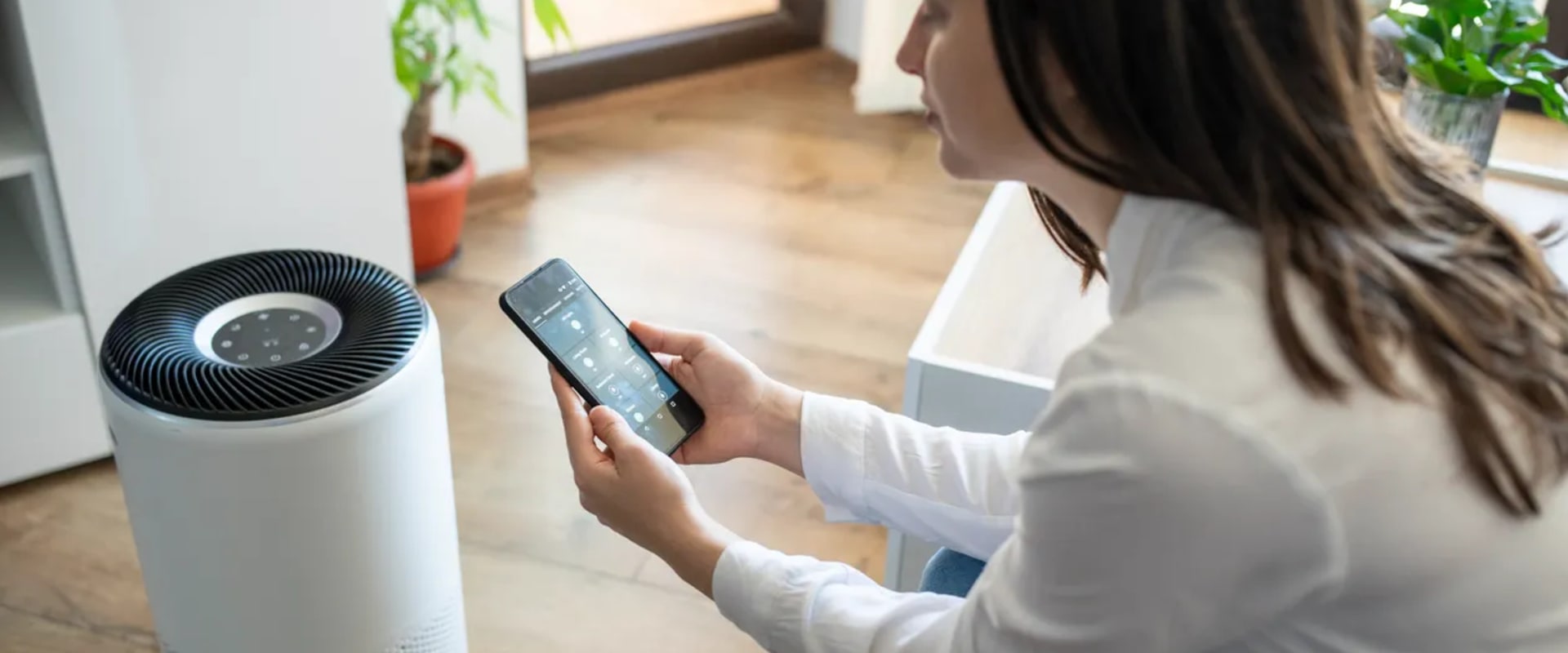 Indoor Air Purification: Proven Ways to Improve Your Home’s Air Quality