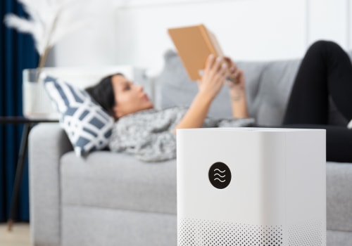 Breathe Easier with Professional Indoor Air Purification Services