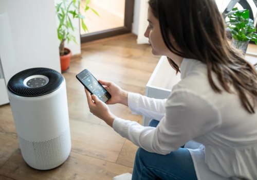 Indoor Air Purification: Proven Ways to Improve Your Home’s Air Quality